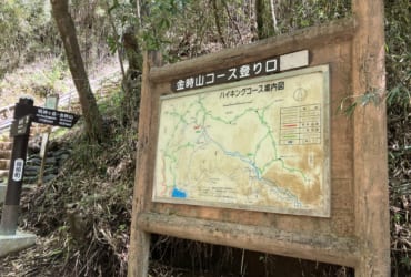 日本三百名山「金時山」で新緑に包まれる山歩き
