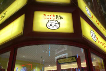 やっぱり豚なんです
