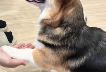 みんな違って、みんないい