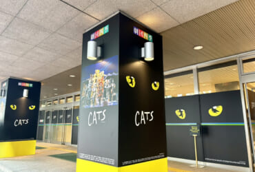 ジェリクルキャッツをご存じかしら？