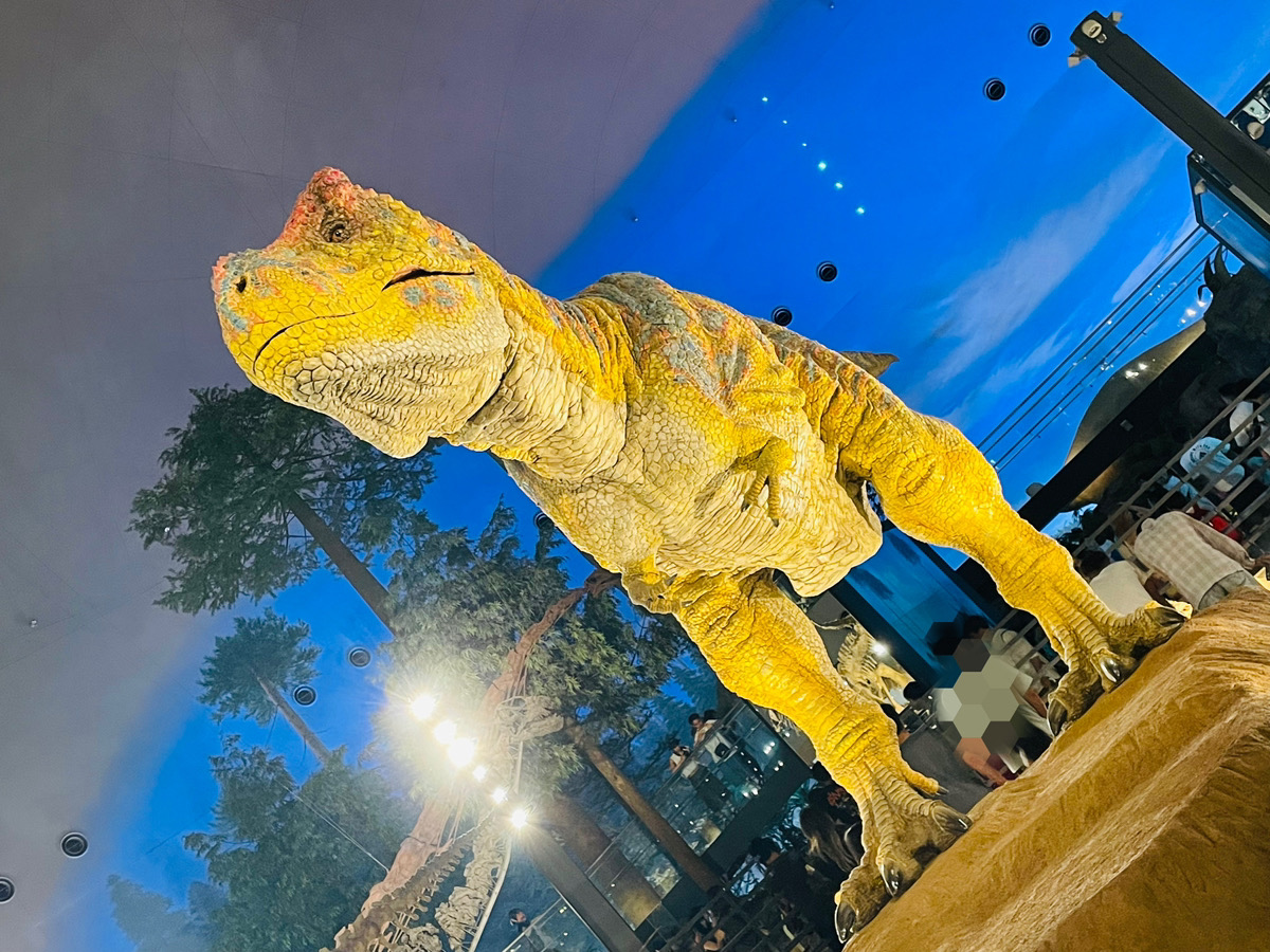 夏休み～！🍉｜Axis Vision Blog