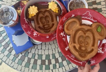 ねずみの国🐭✫