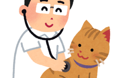 健康診断（猫の）