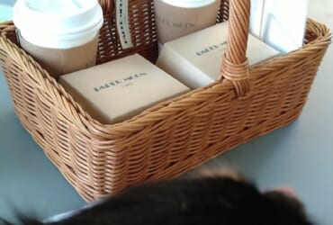 わんことお出かけ🐾🐾