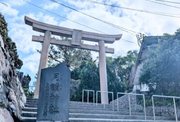 おみくじの結果