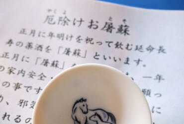 幸運を運ぶ🏇✨