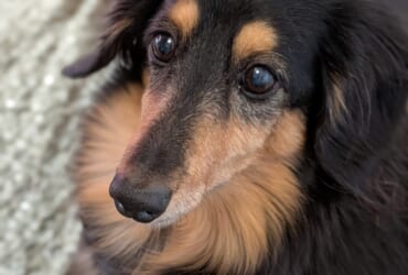 ✨解像度あがりました✨