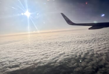 写真の共通点、それは“翼”