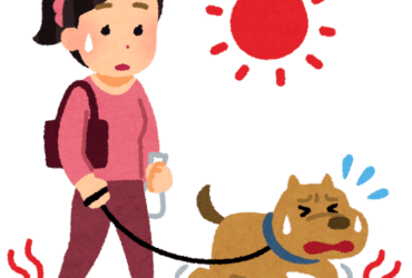 夏の本気を感じませんか…