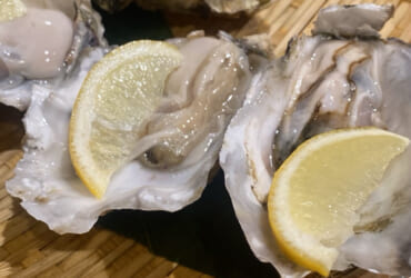 生牡蠣とお酒
