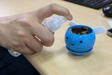 アサガオ以来の観察日記、始動！