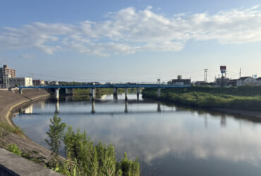 晩夏の朝の散歩道